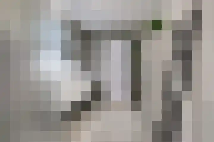 de Veentjes 21 B Doetinchem thumbnail 44