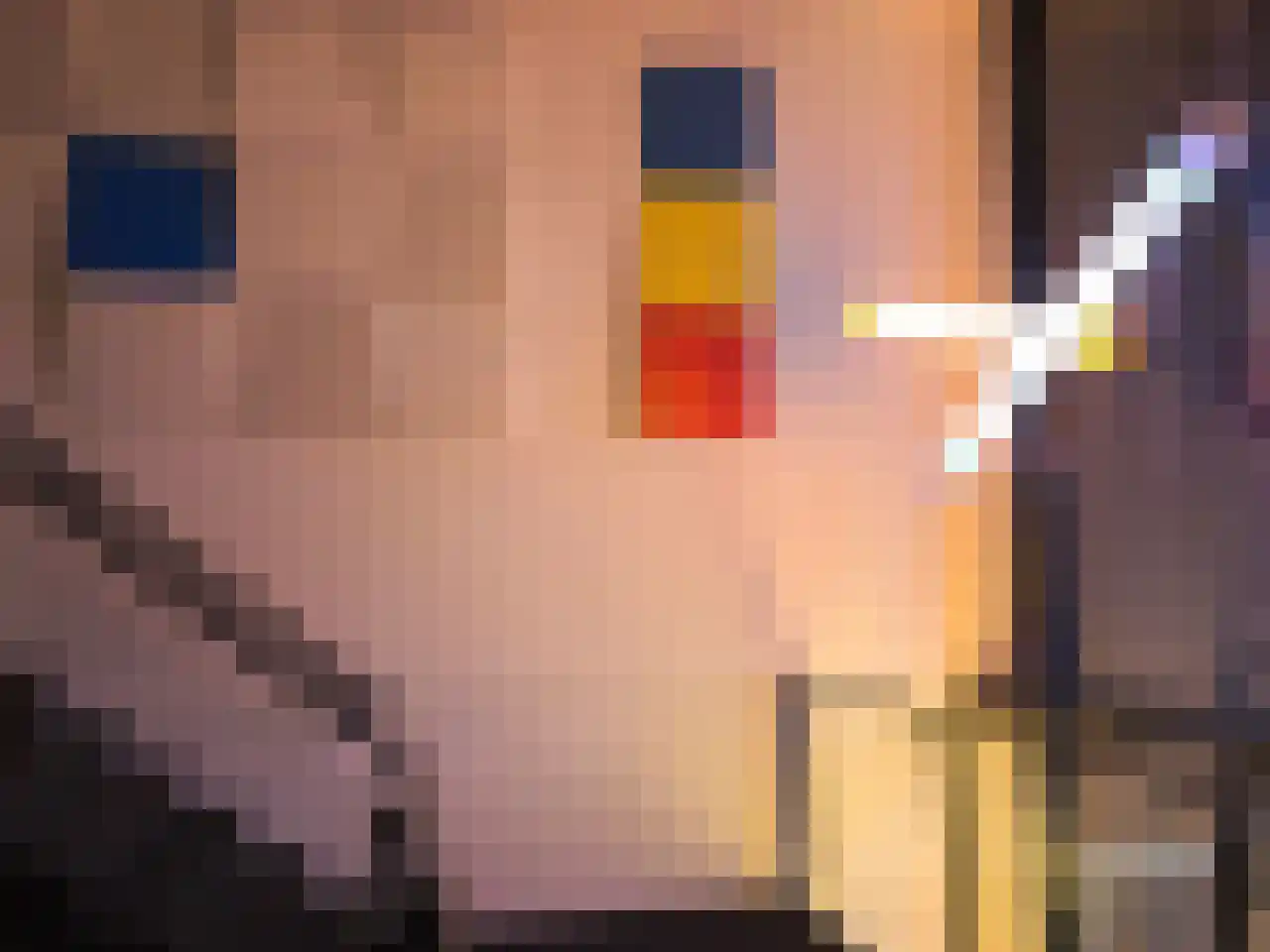 de Veentjes 21 D Doetinchem thumbnail 15
