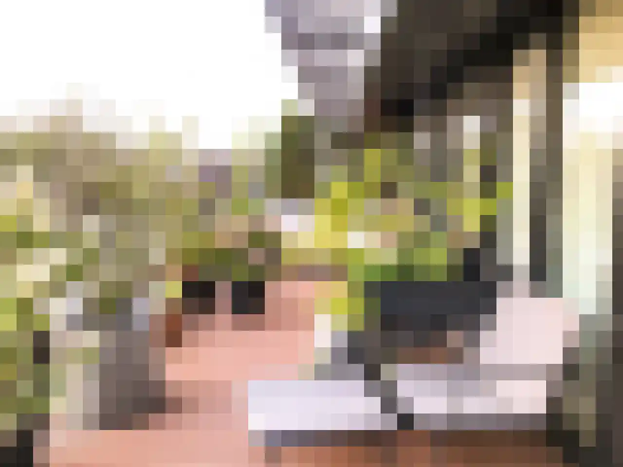 de Veentjes 21 D Doetinchem thumbnail 32