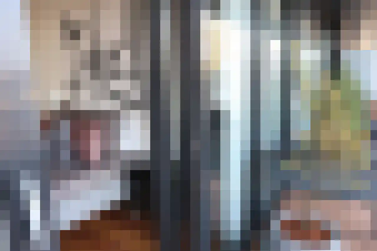 de Veentjes 21 D Doetinchem thumbnail 33