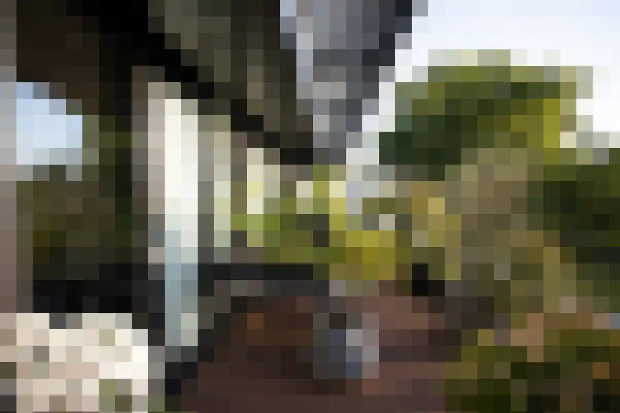de Veentjes 21 D Doetinchem thumbnail 4