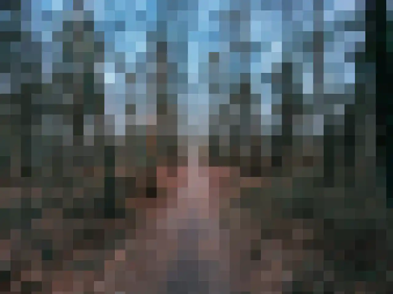 de Veentjes 21 D Doetinchem thumbnail 43