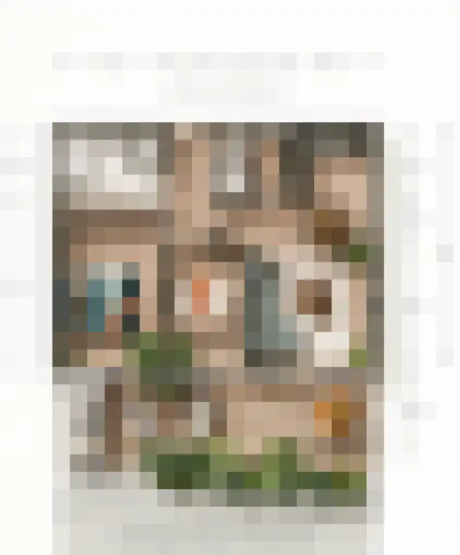 de Veentjes 21 D Doetinchem thumbnail 46