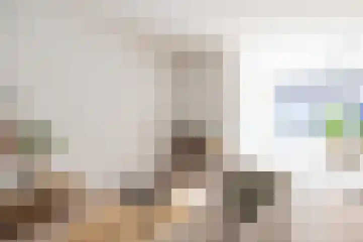 de Veentjes 3 Doetinchem thumbnail 11