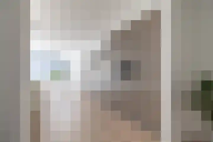de Veentjes 3 Doetinchem thumbnail 14