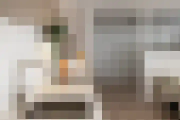 de Veentjes 3 Doetinchem thumbnail 15