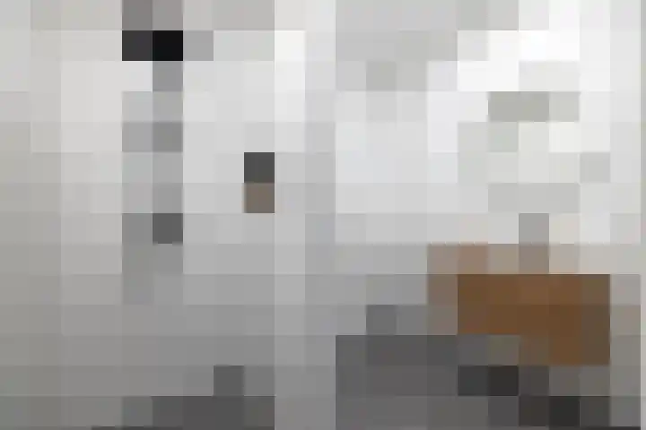 de Veentjes 3 Doetinchem thumbnail 24