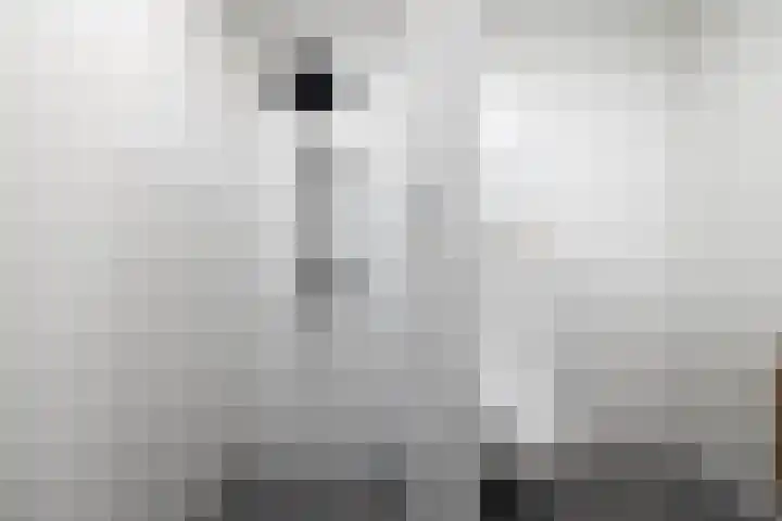 de Veentjes 3 Doetinchem thumbnail 25