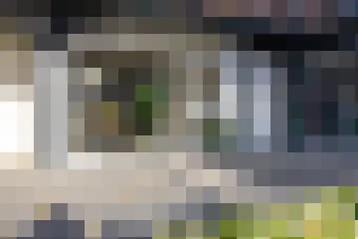 de Veentjes 3 Doetinchem thumbnail 30