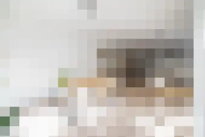 de Veentjes 3 Doetinchem thumbnail 5