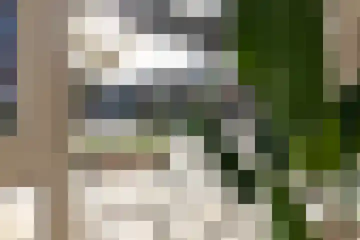 de Veentjes 3 Doetinchem thumbnail 8
