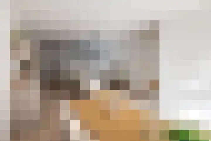 de Veentjes 3 Doetinchem thumbnail 9