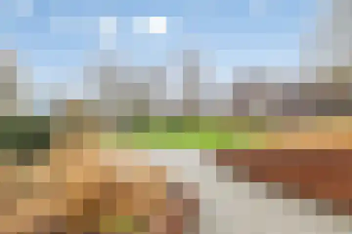 de Veentjes 30 Doetinchem thumbnail 10