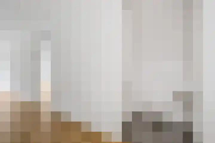 de Veentjes 34 Doetinchem thumbnail 20