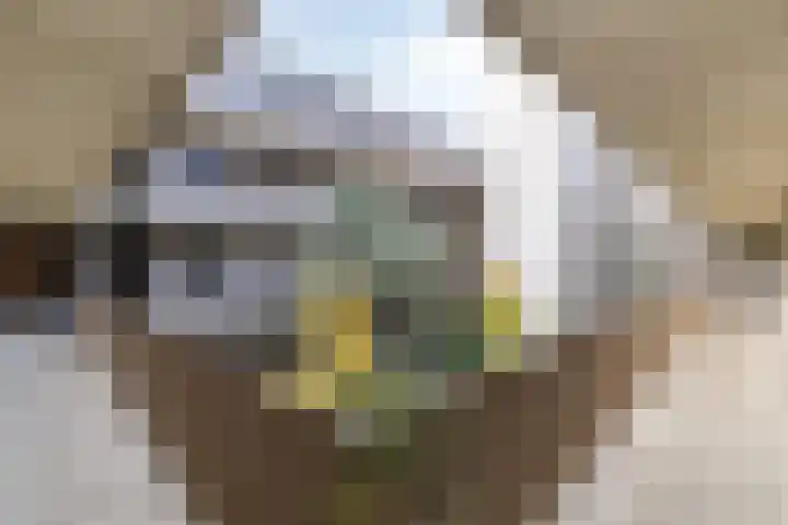 de Veentjes 77 Doetinchem thumbnail 11