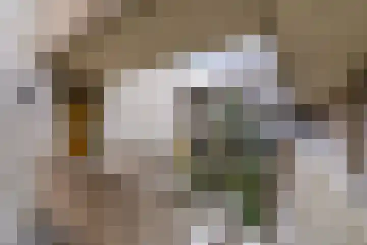 de Veentjes 77 Doetinchem thumbnail 12