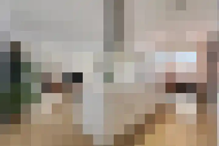 de Veentjes 77 Doetinchem thumbnail 15