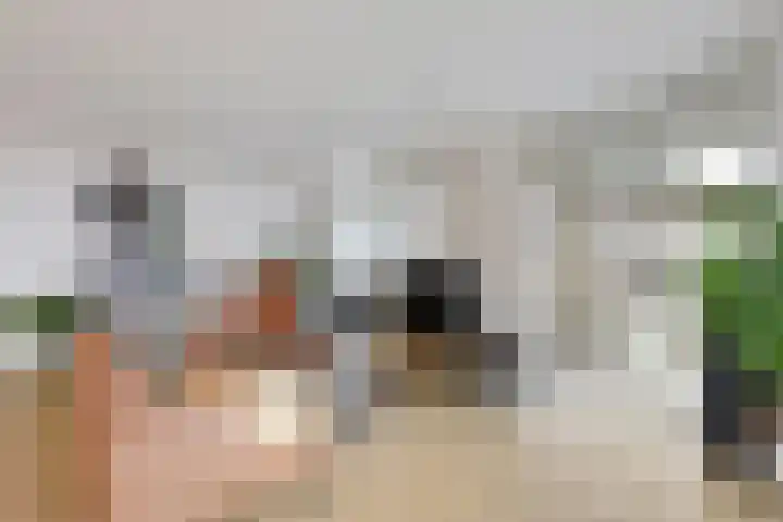 de Veentjes 77 Doetinchem thumbnail 19