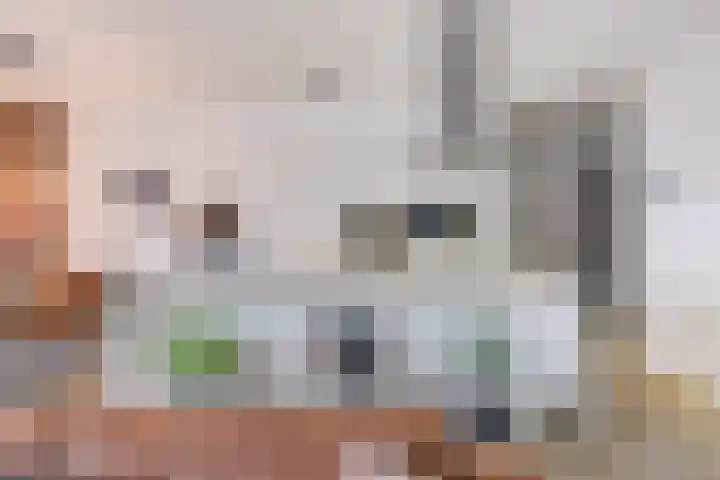 de Veentjes 77 Doetinchem thumbnail 23