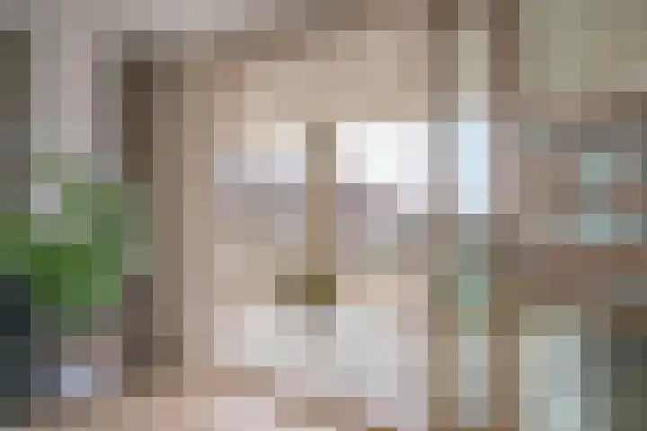 de Veentjes 77 Doetinchem thumbnail 25