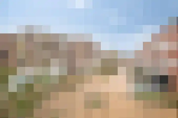 de Veentjes 77 Doetinchem thumbnail 26