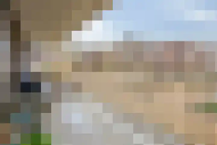 de Veentjes 77 Doetinchem thumbnail 28
