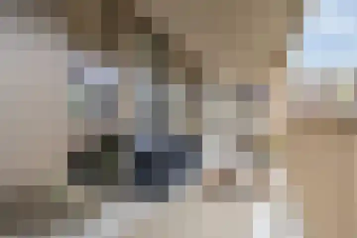 de Veentjes 77 Doetinchem thumbnail 29