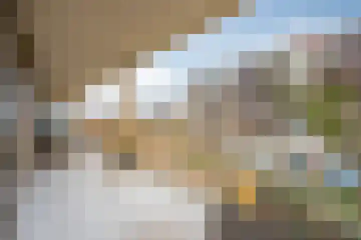 de Veentjes 77 Doetinchem thumbnail 31