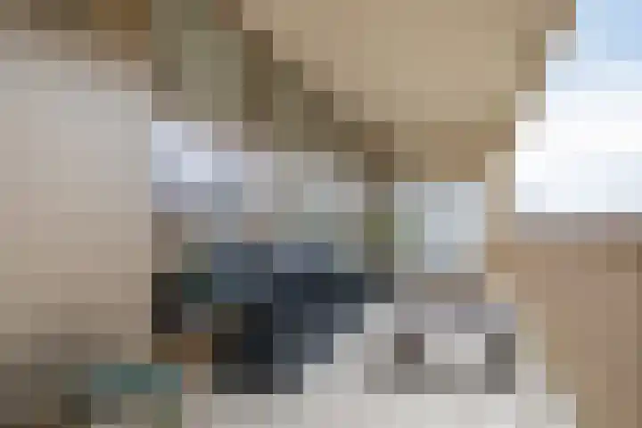 de Veentjes 77 Doetinchem thumbnail 32