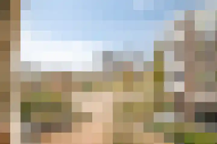 de Veentjes 77 Doetinchem thumbnail 33