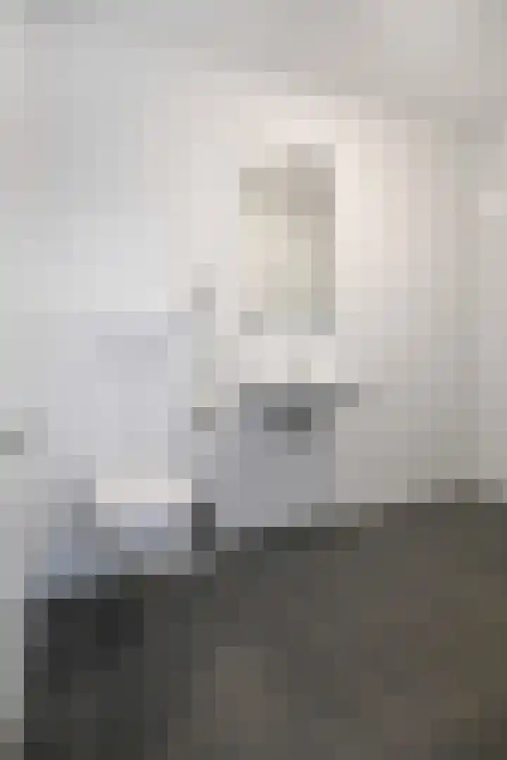 de Veentjes 77 Doetinchem thumbnail 38