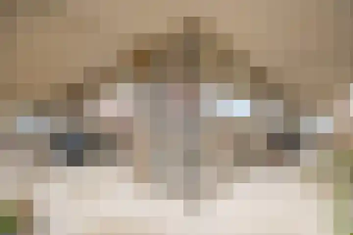 de Veentjes 77 Doetinchem thumbnail 4
