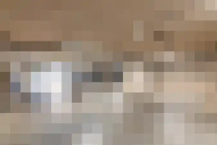 de Veentjes 77 Doetinchem thumbnail 42