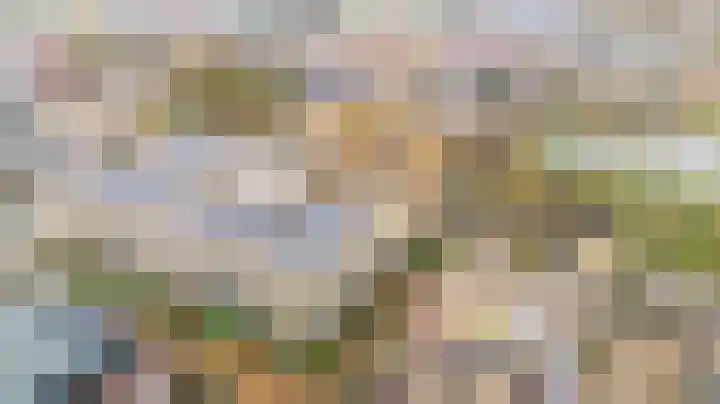 de Veentjes 77 Doetinchem thumbnail 44