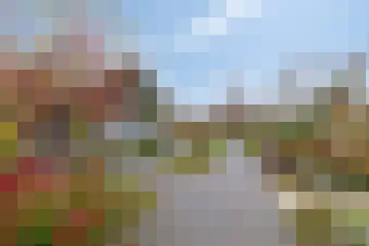 de Veentjes 77 Doetinchem thumbnail 50