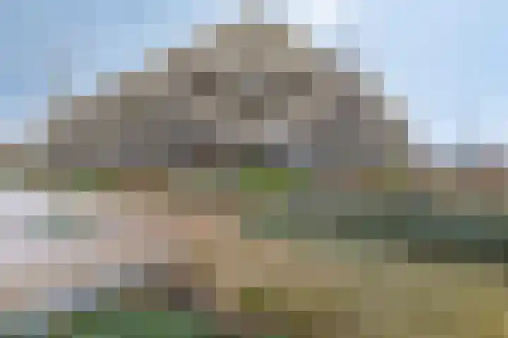 de Veentjes 77 Doetinchem thumbnail 6