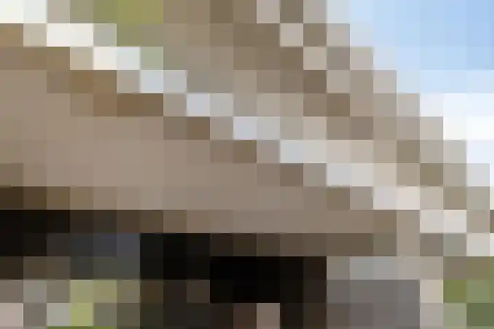 de Veentjes 77 Doetinchem thumbnail 8