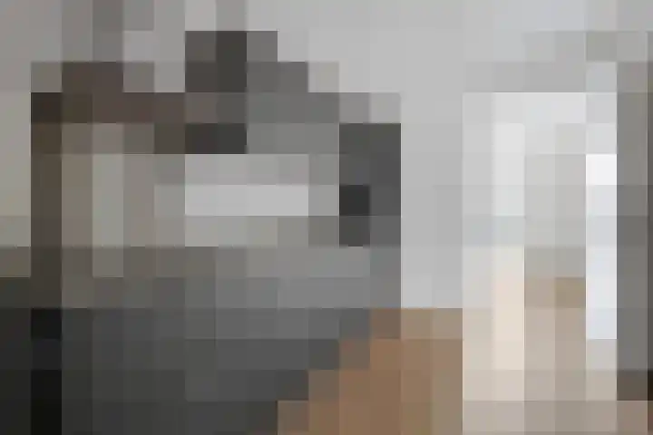 de Veentjes 8 Doetinchem thumbnail 13