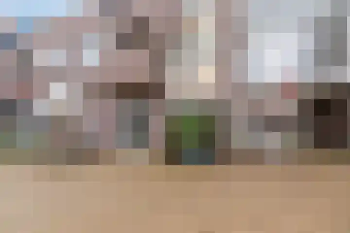 de Veentjes 8 Doetinchem thumbnail 22