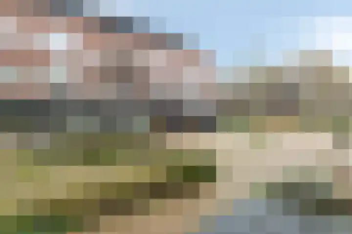 de Veentjes 8 Doetinchem thumbnail 23