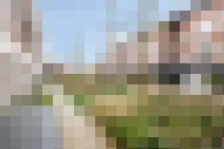 de Veentjes 8 Doetinchem thumbnail 5