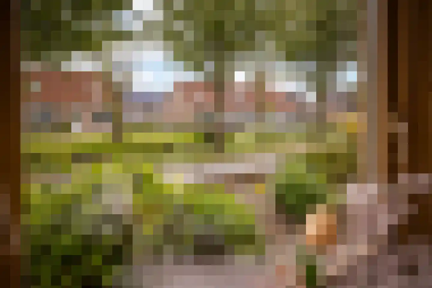 De Veer 19 Bovenkarspel thumbnail 19