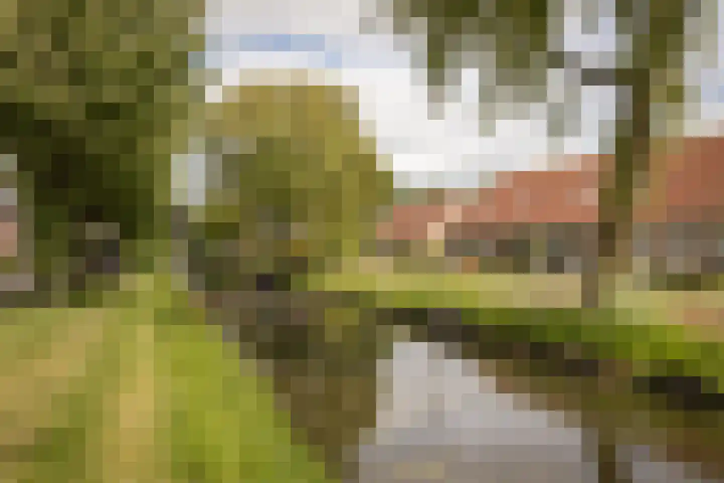 De Veer 19 Bovenkarspel thumbnail 37