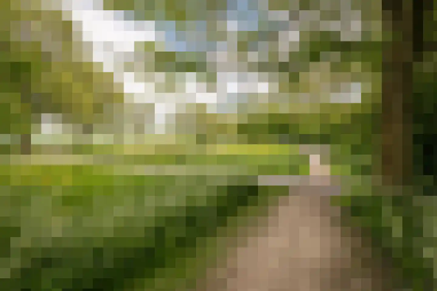 De Veer 19 Bovenkarspel thumbnail 39