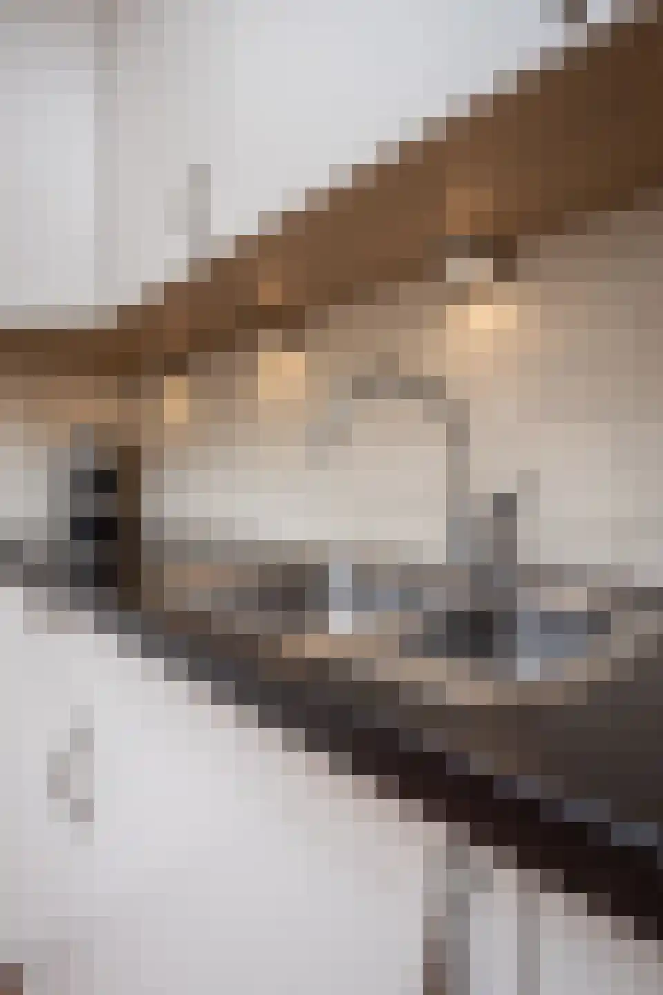De Veer 19 Bovenkarspel thumbnail 46