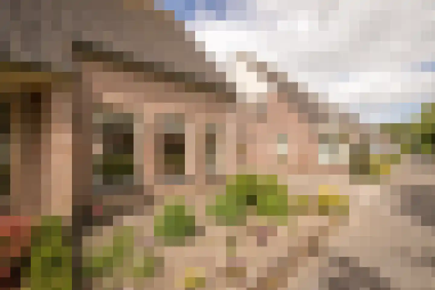 De Veer 19 Bovenkarspel thumbnail 6
