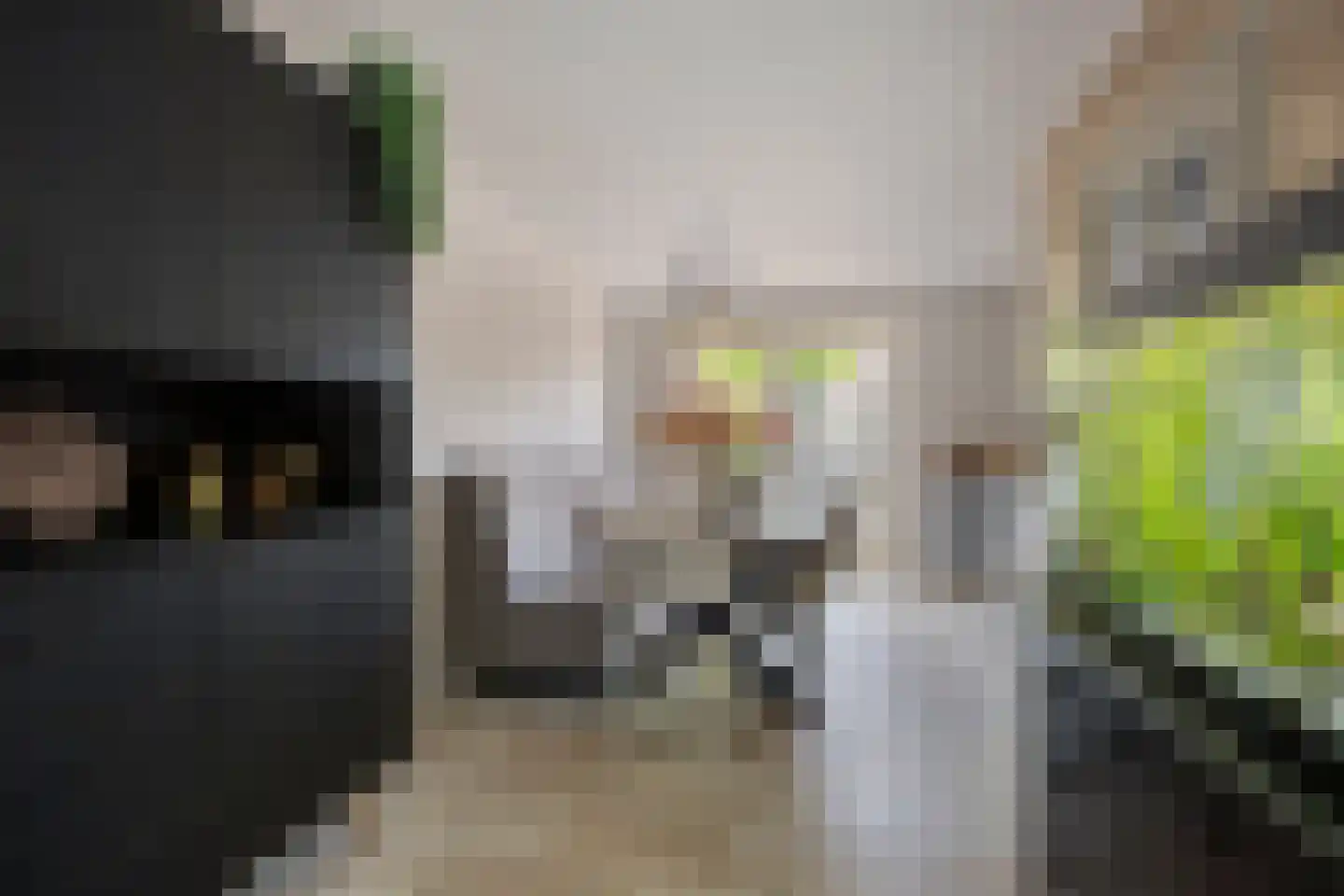 De Veert 10 Nieuwe Niedorp thumbnail 12