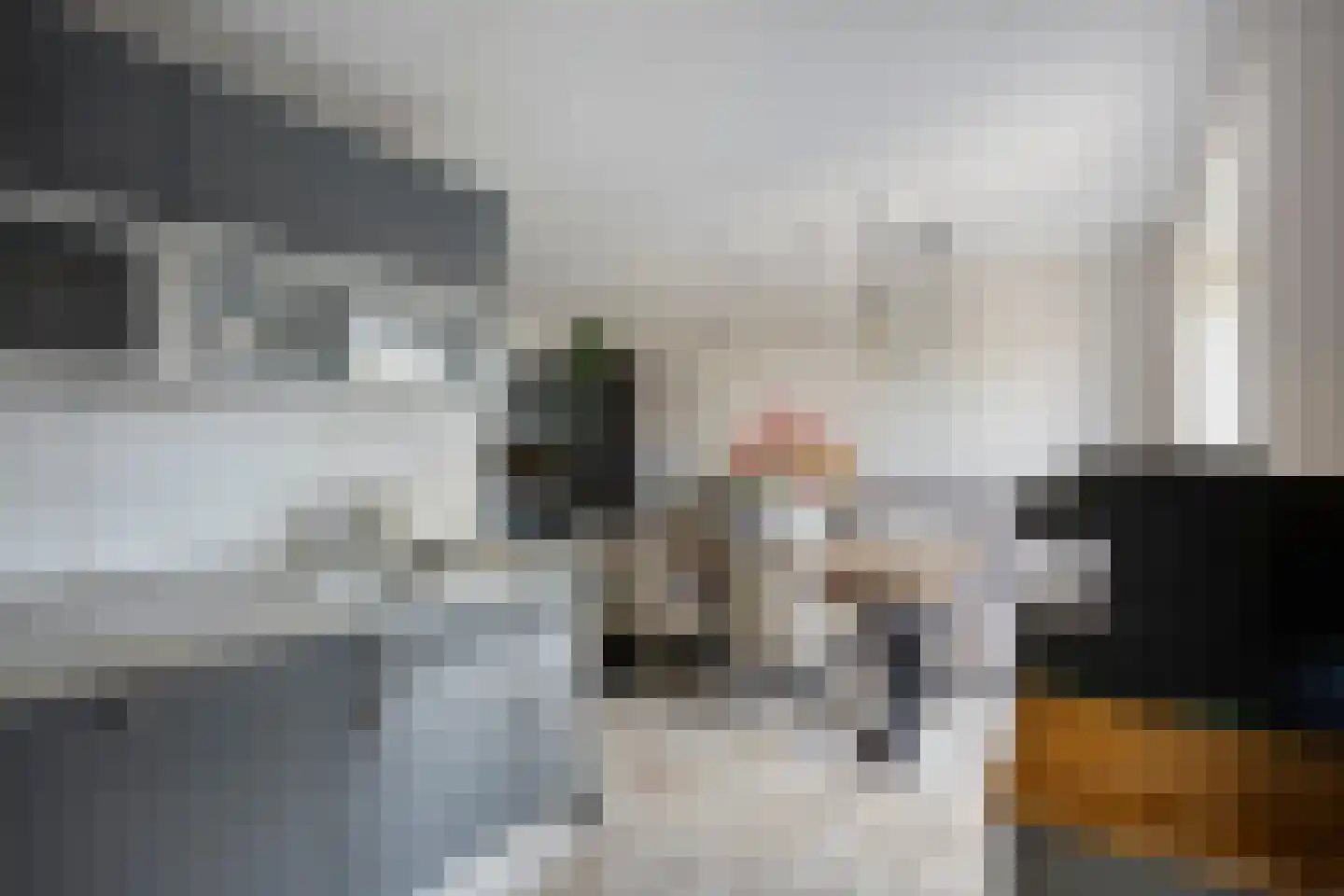 De Veert 10 Nieuwe Niedorp thumbnail 13