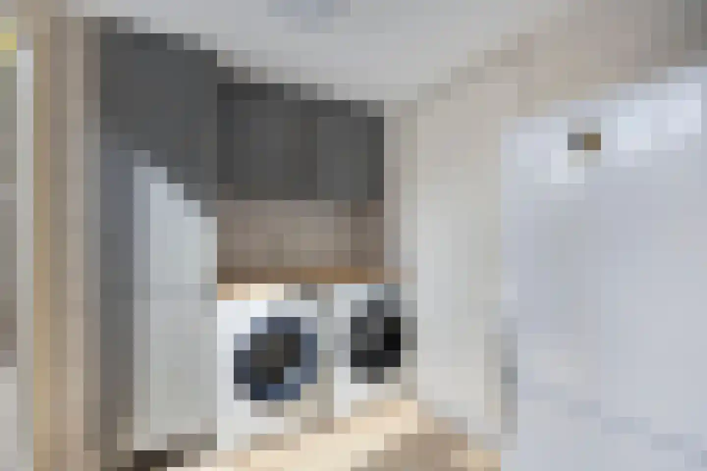 De Veert 10 Nieuwe Niedorp thumbnail 16