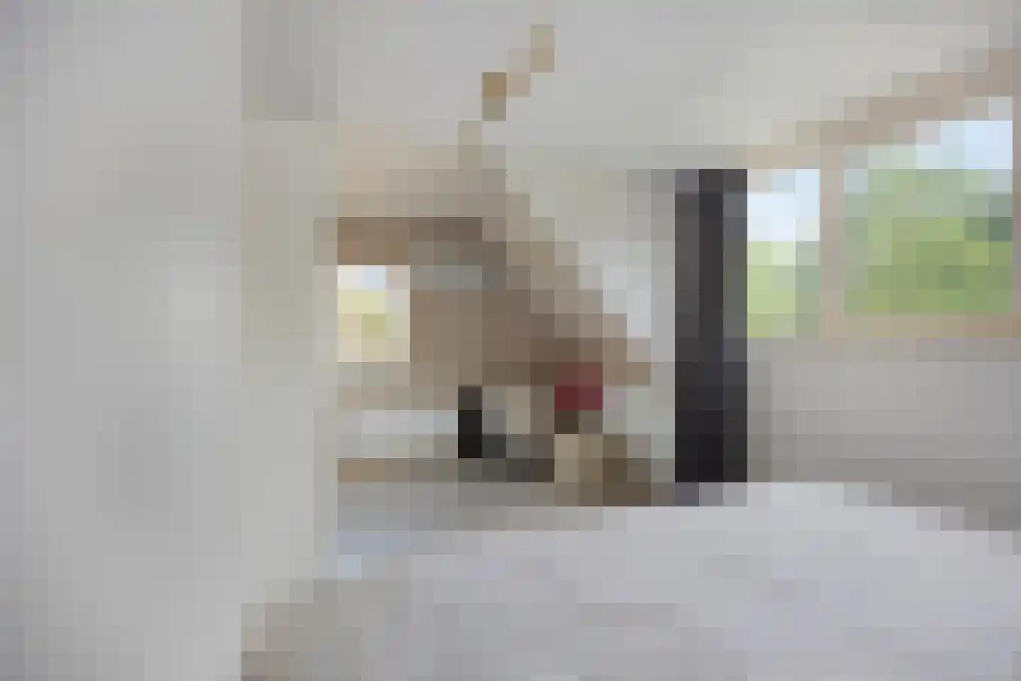 De Veert 10 Nieuwe Niedorp thumbnail 21